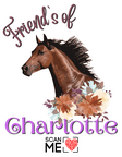 Friend’s Of Charlotte 2
